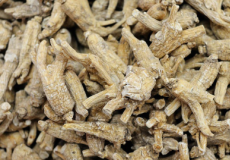 人参的秘密武器用古老的智慧对抗癌症