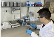 穆斯卡里斯葡萄揭示荔枝香气的分子秘密