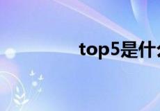 top5是什么意思解释一下