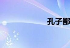 孔子鄙其小器翻译