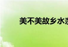 美不美故乡水亲不亲故乡人的意思