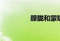 朦胧和蒙眬的区别的意思