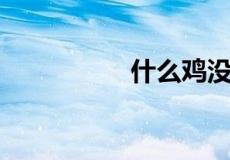 什么鸡没有翅膀猜生肖