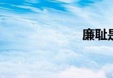 廉耻是什么意思