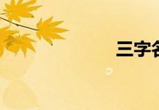 三字名字的平仄