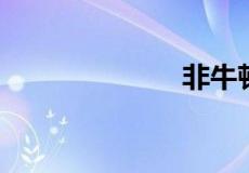 非牛顿流体比例