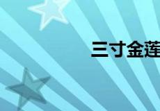 三寸金莲是指哪个生肖