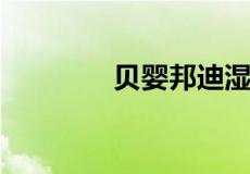 贝婴邦迪湿宁的功效是什么
