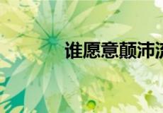 谁愿意颠沛流离的上一句是啥