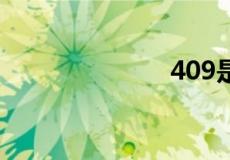 409是什么意思