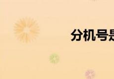 分机号是什么几位数