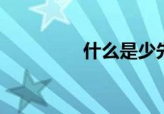 什么是少先队组织的主人