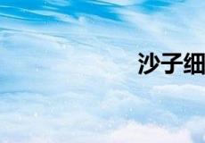 沙子细度模数公式