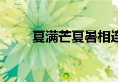 夏满芒夏暑相连,暑相连是什么意思
