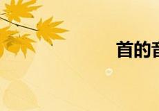 首的音序是什么