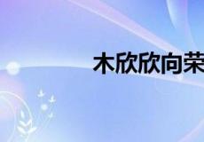 木欣欣向荣的以是什么意思