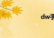 dw手表怎么带
