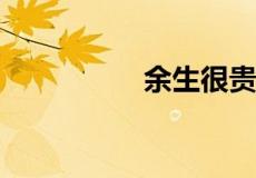 余生很贵下一句怎么接