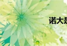 诺大是什么意思