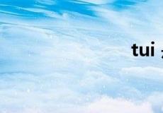 tui 是什么梗