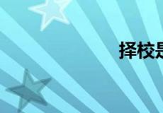 择校是什么意思