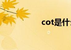 cot是什么边比什么边