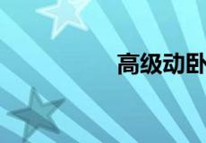 高级动卧和动卧的区别