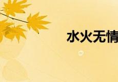 水火无情下一句是什么