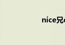nice兄dei什么意思