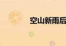 空山新雨后表达了什么意思