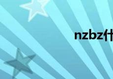 nzbz什么意思快手