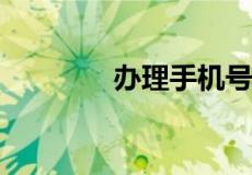 办理手机号码需要什么东西