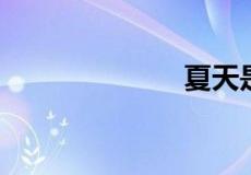 夏天是什么样的