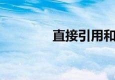 直接引用和间接引用的区别