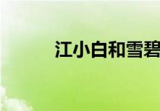 江小白和雪碧一起喝是什么意思