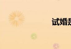 试婚是什么意思