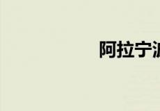 阿拉宁波是什么意思