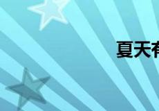 夏天有什么特征