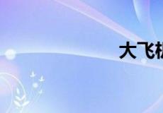 大飞机是啥意思