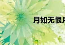 月如无恨月长圆什么意思