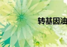 转基因油的危害有哪些