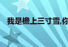 我是檐上三寸雪,你是人间惊鸿客什么意思