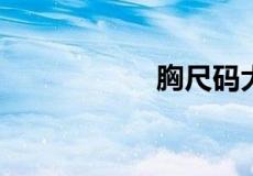 胸尺码大小怎么排的