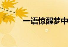 一语惊醒梦中人下半句该说什么
