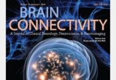新研究强调心理韧性在帮助孩子从脑震荡中恢复方面的重要性
