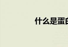 什么是蛋白质的互补作用