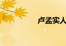 卢孟实人物分析300字
