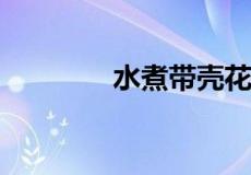 水煮带壳花生要煮多久才熟