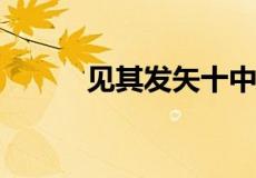 见其发矢十中九八但微颔之翻译