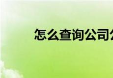 怎么查询公司公章上面的小数字？